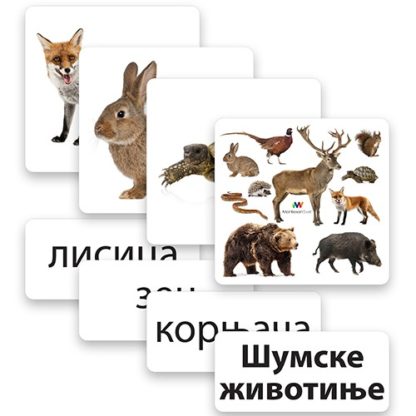 glen-doman-kartice-šumske-životinje