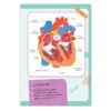 unutrašnji-ljuski-organi-srce-deciji-magneti