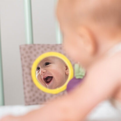 kniga ogradica sa ogledalom za bebe