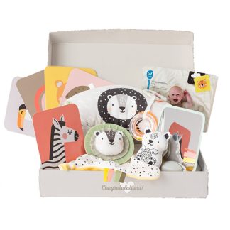 baby-set-za-prve-mesece-sa-edukativnim-igrackama